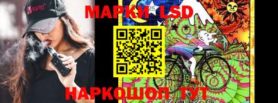 меф Гатчина