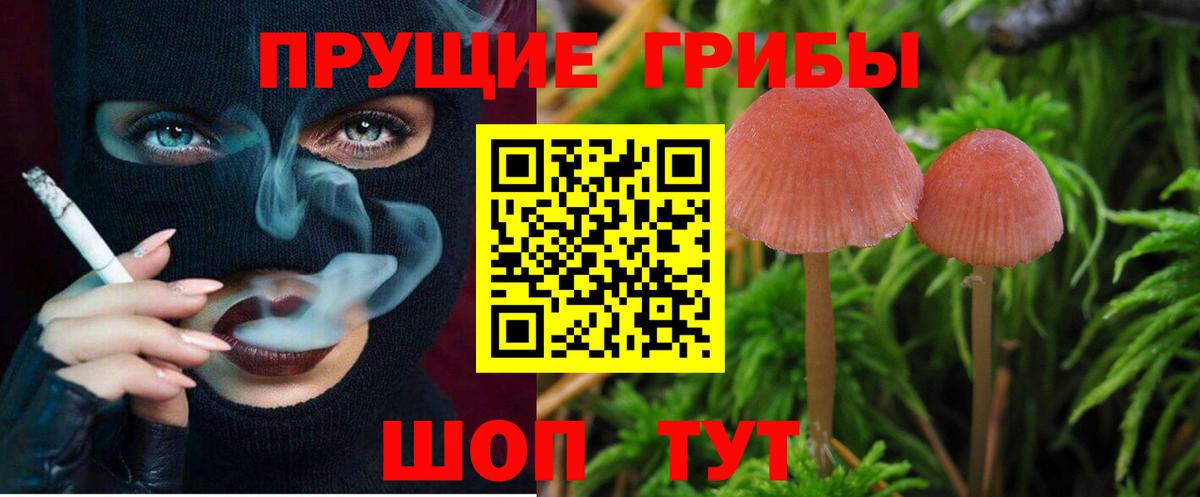 Галлюциногенные грибы MAGIC MUSHROOMS  Псилоцибиновые грибы мицелий  Вход с VPN  купить наркоту  Новокузнецк 