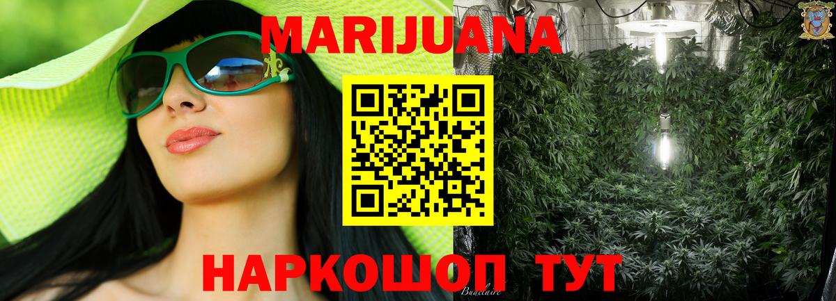 Шишки марихуана семена  Бошки Шишки AK-47  Новокузнецк  Вход с VPN 